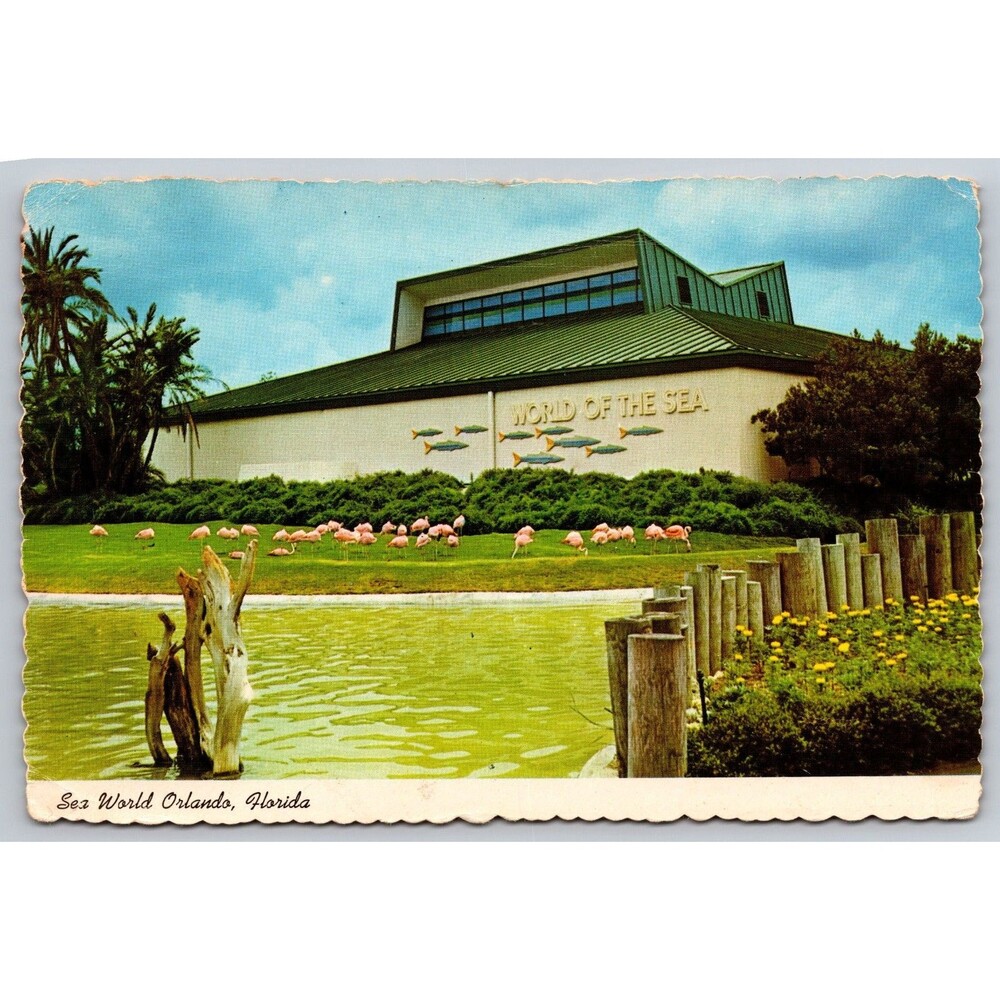 Postcard Florida Orlando Sea World Graceful Flamingo Beautiful Landscape c1970s